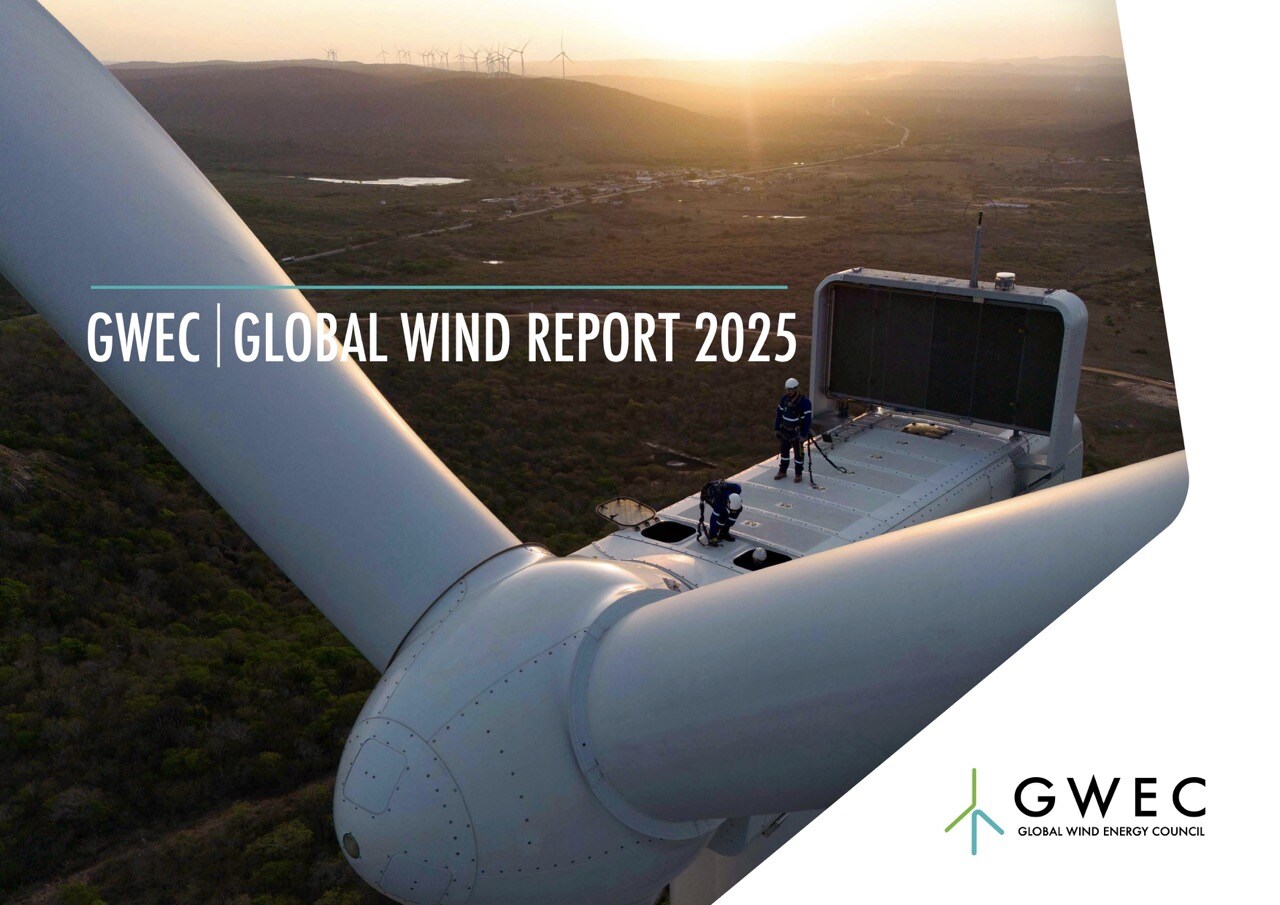 Wind industry installs record capacity in 2024 despite policy instability